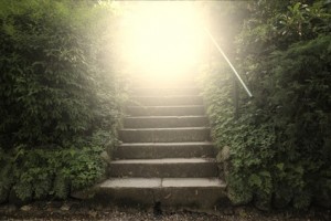 Paths up stairs in Oakville Physio