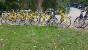 Oakville Physio taking a yellow bike tour